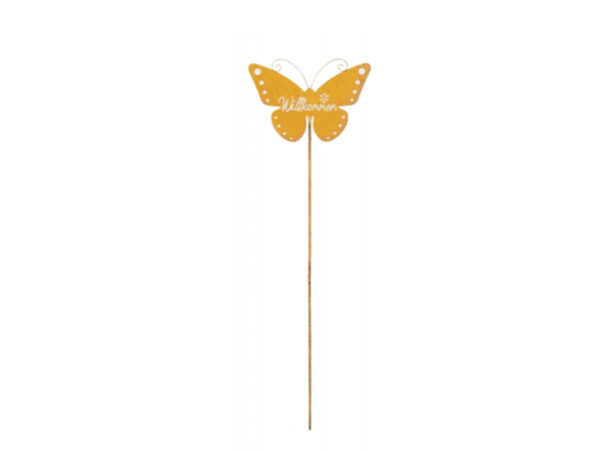 Papillon 116cm
