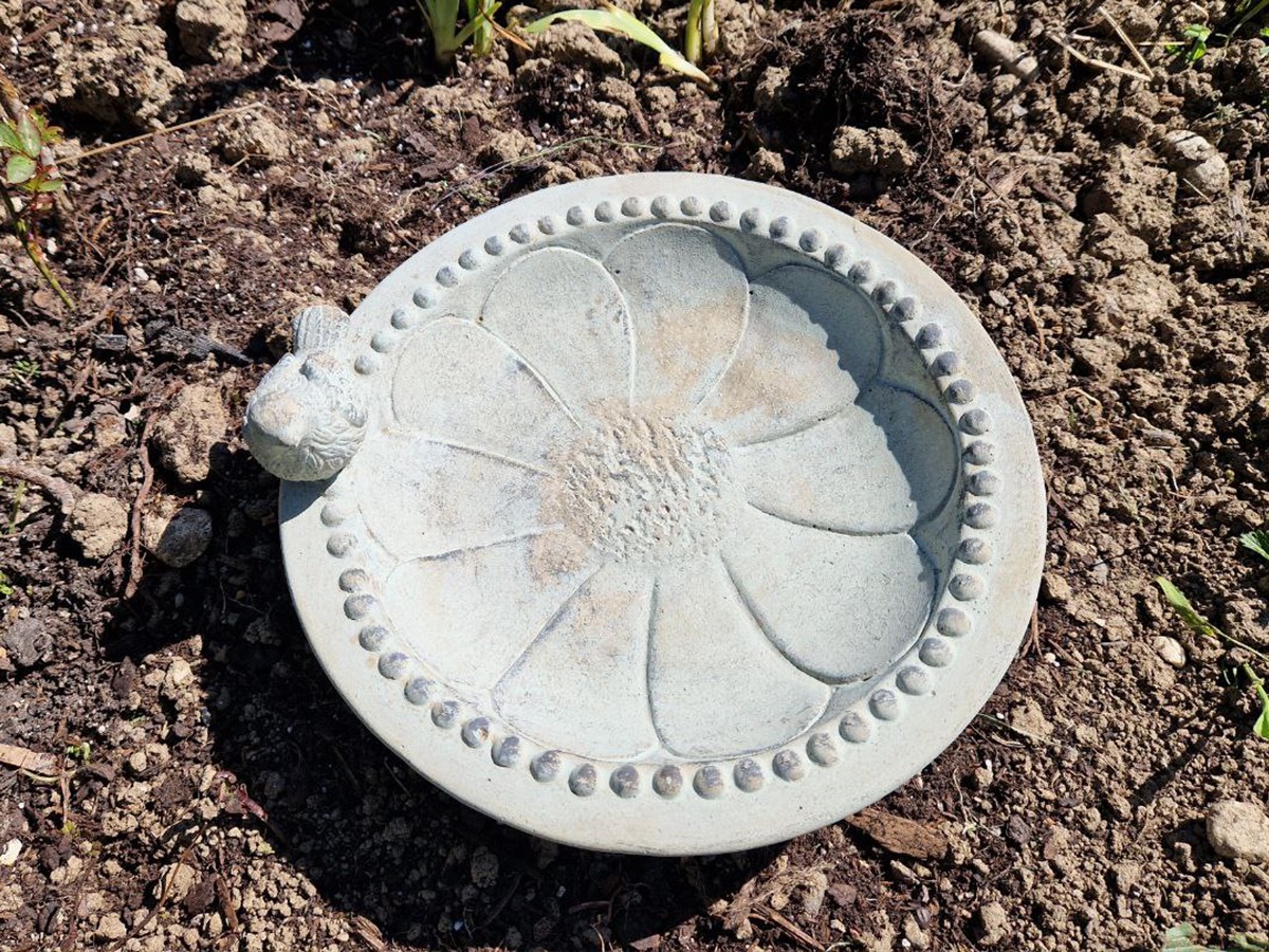 Vogeltränke Beton 25cm – Bild 3