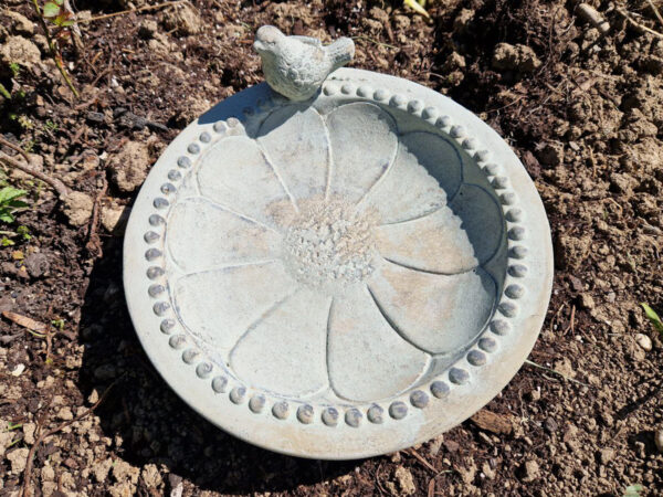 Vogeltränke Beton 25cm mit vogel grau
