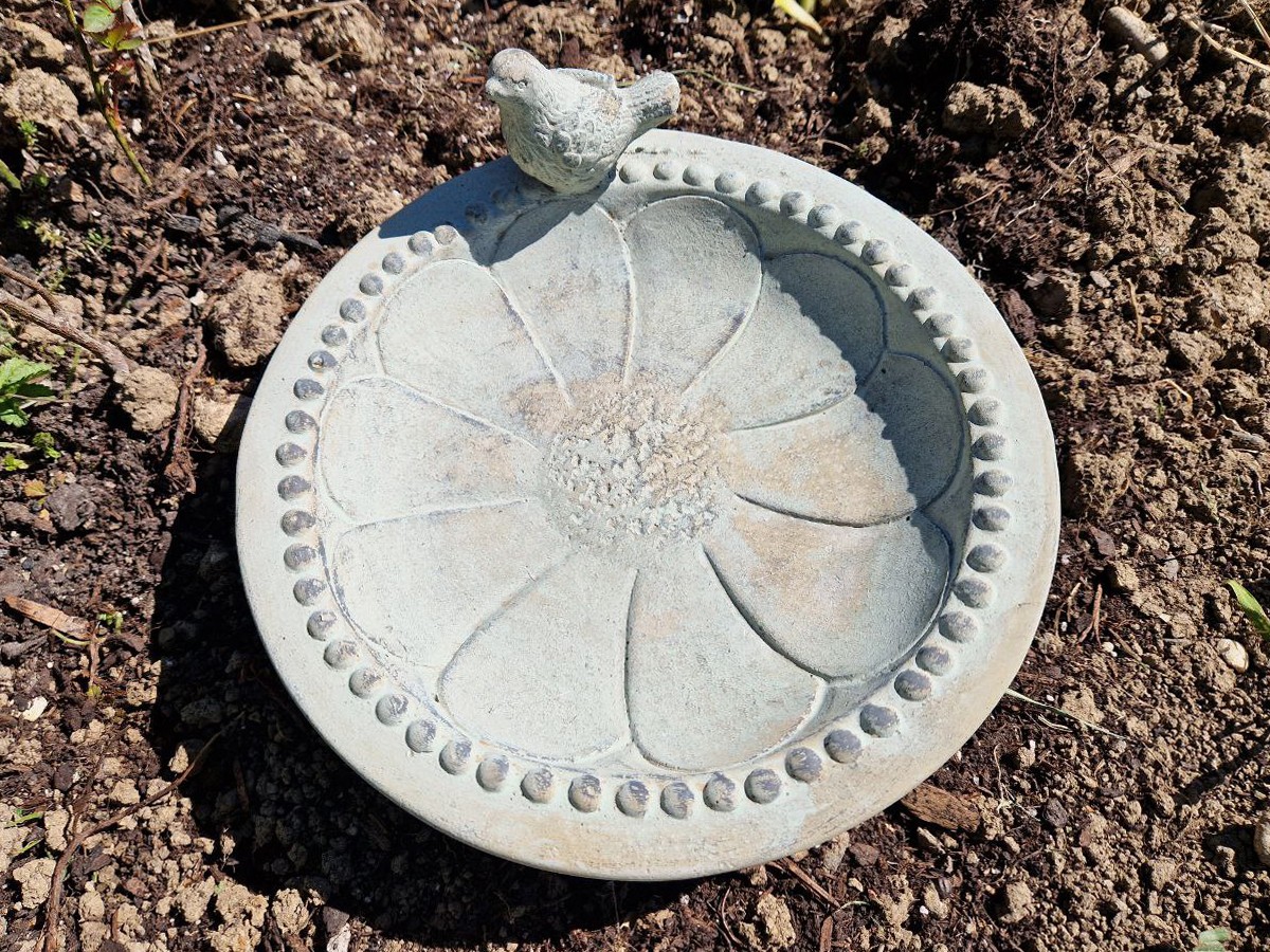 Vogeltränke Beton 25cm mit vogel grau