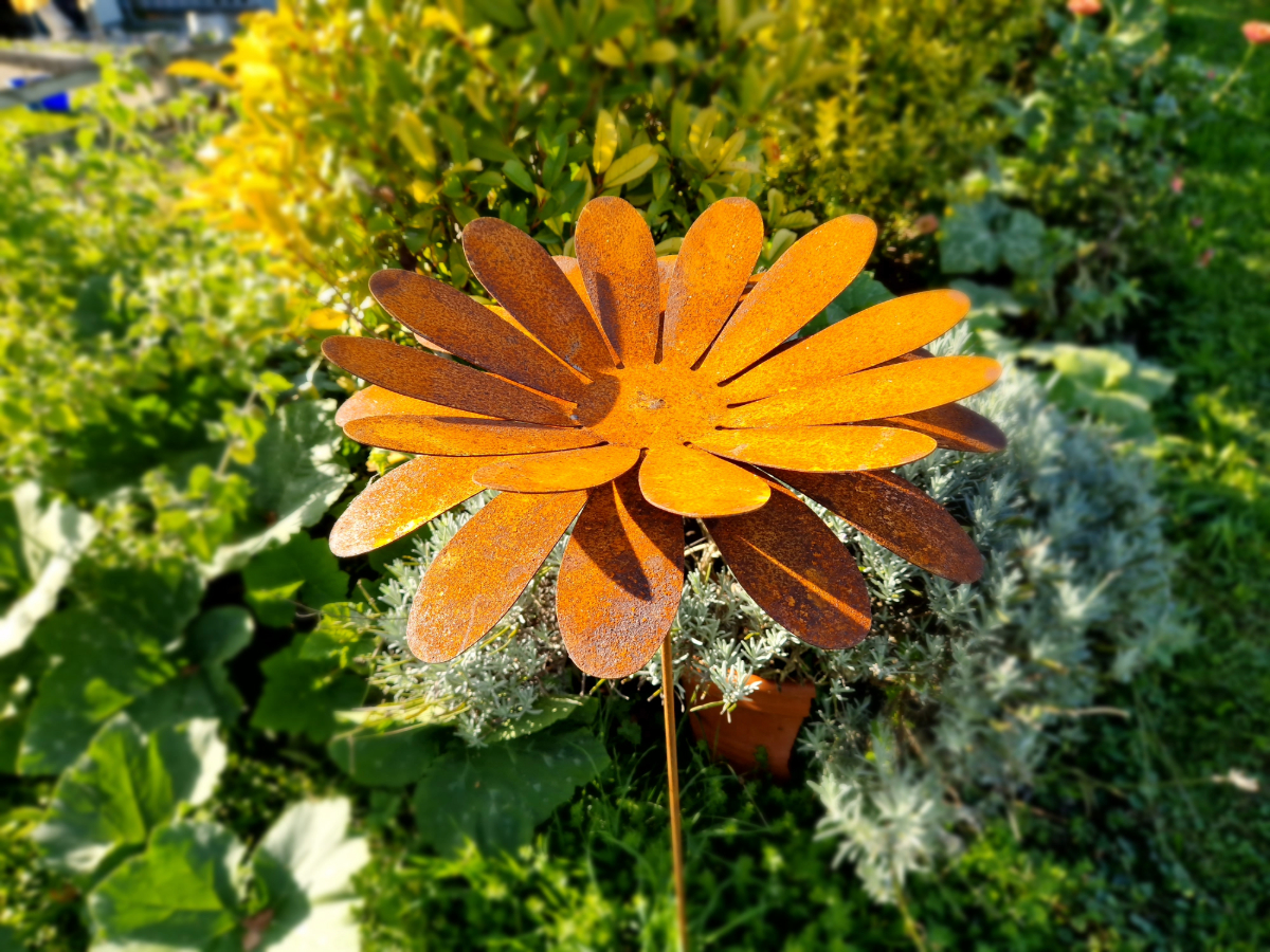 Rost stecker Garten Bluete