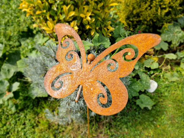 schmetterling rost gross