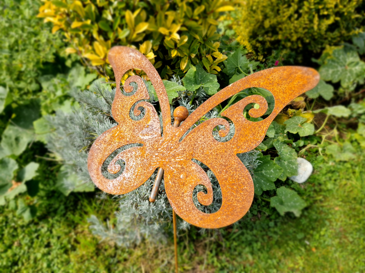 schmetterling rost gross