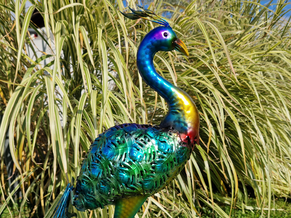 Pfau Metall Garten bunt