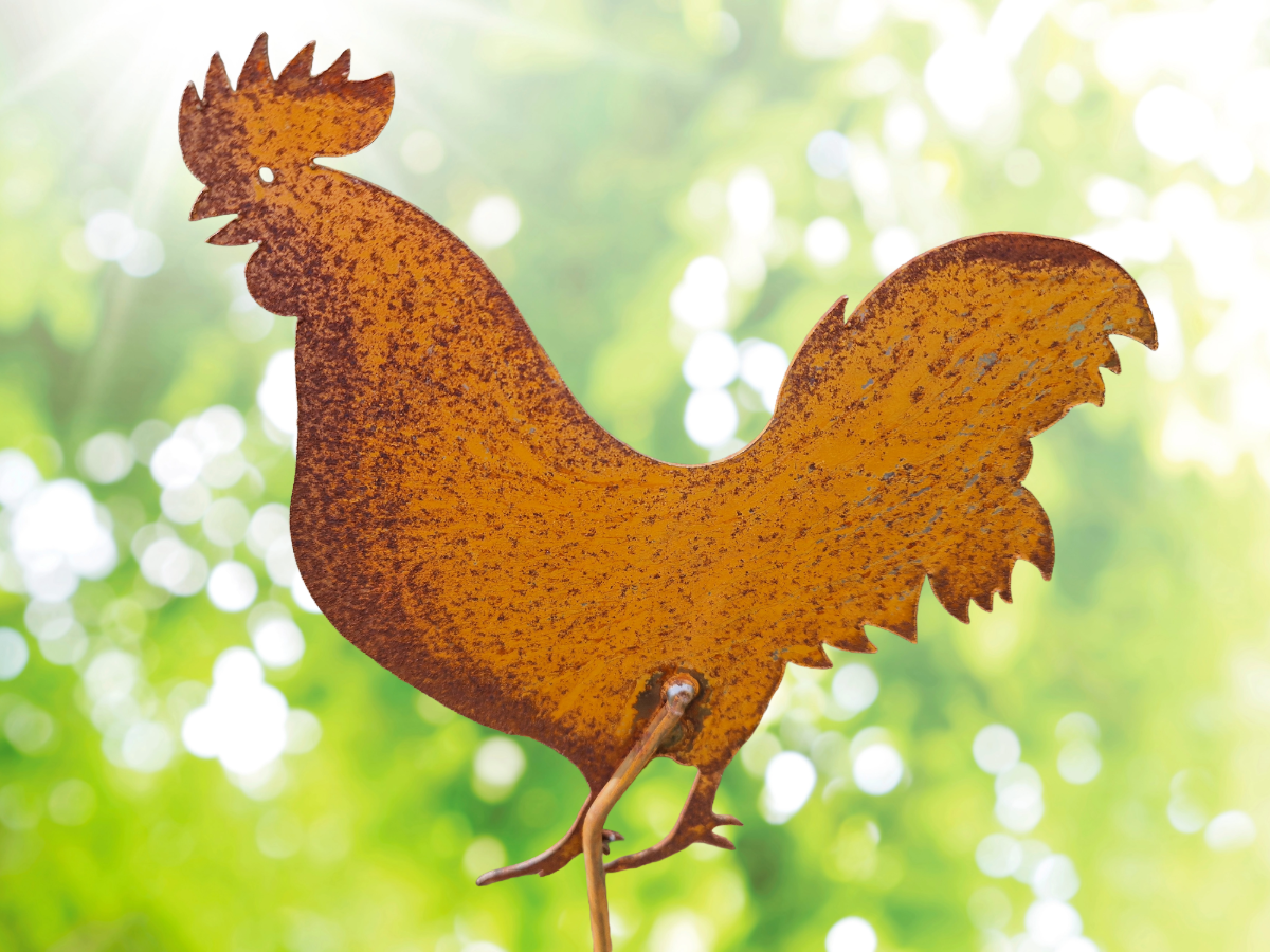 Hahn & Henne Rost 60cm Hahn