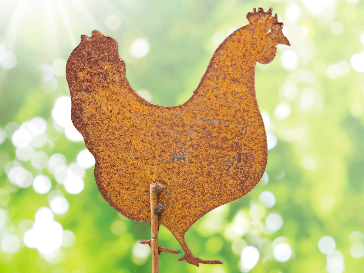 Hahn & Henne Rost 60cm Henne