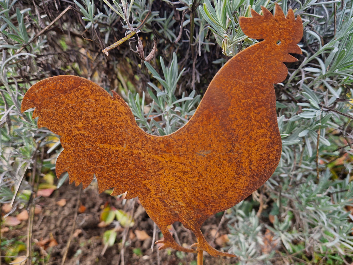 Hahn & Henne Rost 60cm Gartenstecker