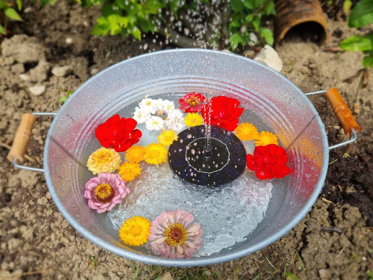 Solarspringbrunnen in Gartenschale