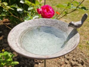 Vogeltränke Gartenstecker mit Vogel grau am stab