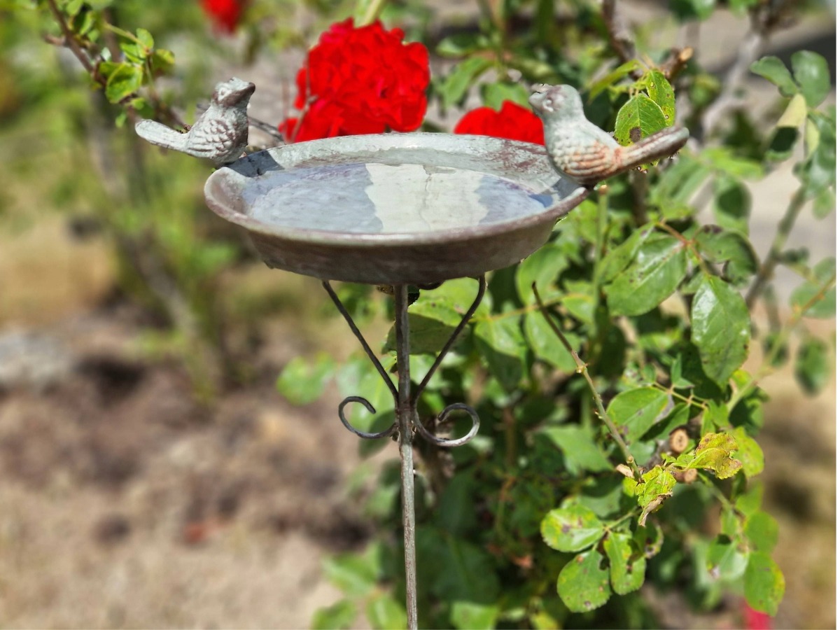 Vogeltränke Metall Gartenstecker – Bild 4